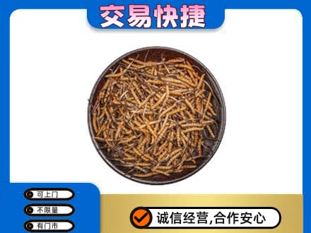 上海高价回收散虫草